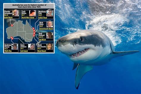 leon hermes shark|List of fatal shark attacks in Australia .